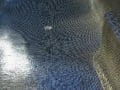 Glass Mosaic Interior Pool Tiling