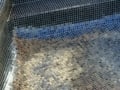 Mermaid Tiling Glass Mosaic Pool Interior-tiling